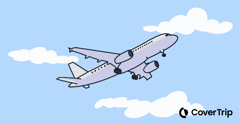 Plane flying in the sky